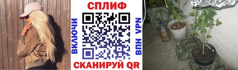 Наркошоп купить Амфетамин  Меф мяу мяу  ГАШИШ  МЕТАДОН  Codein  Бошки Шишки  Кущёвская